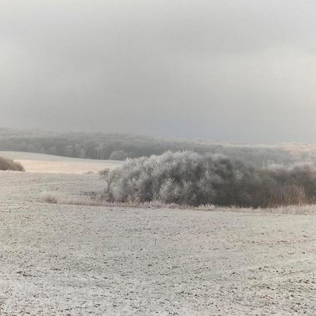Ferienwohnung Uckermarkblick Ziehten 外观 照片