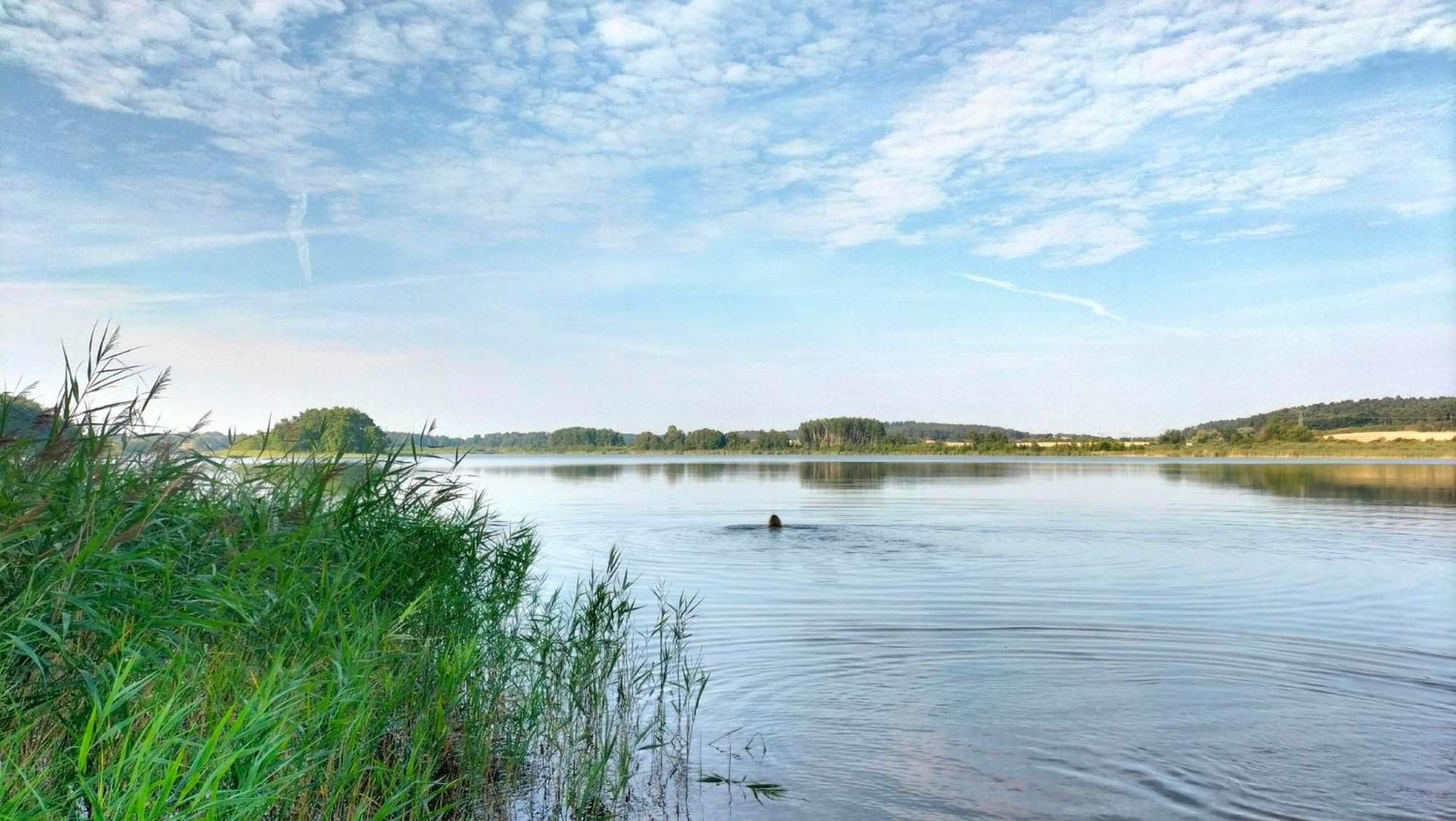 Ferienwohnung Uckermarkblick Ziehten 外观 照片